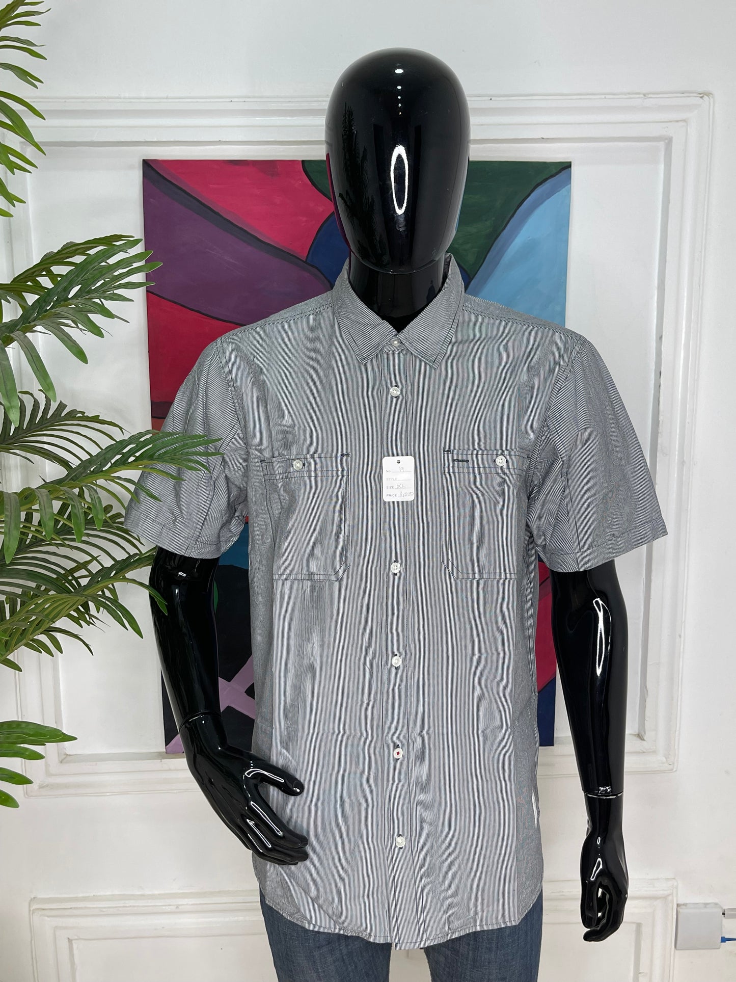 MS19/ XLARGE